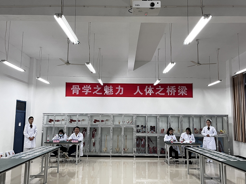 骨学之魅力·人体之桥梁——护理药学院成功举办beat365英国官方网站第一届人体骨骼辨识大赛开幕式暨初赛(图6)