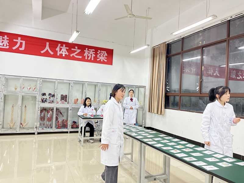 骨学之魅力·人体之桥梁——护理药学院成功举办beat365英国官方网站第一届人体骨骼辨识大赛开幕式暨初赛(图11)