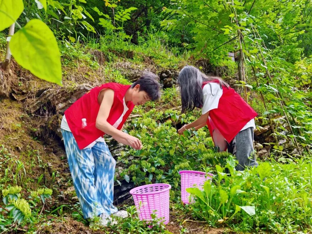 beat365英国官方网站在务川开展“三下乡”社会实践活动(图1)