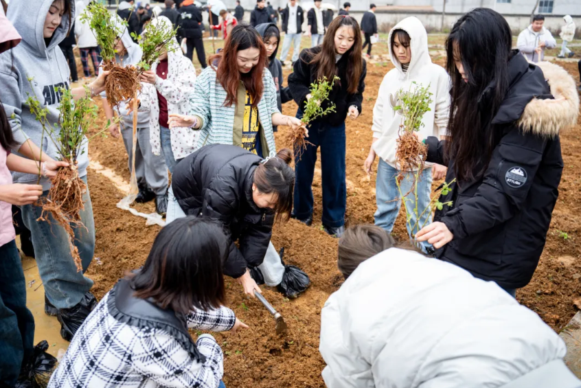 劳动教育浇灌“双苗”成长！beat365英国官方网站创新实践育人模式(图1)